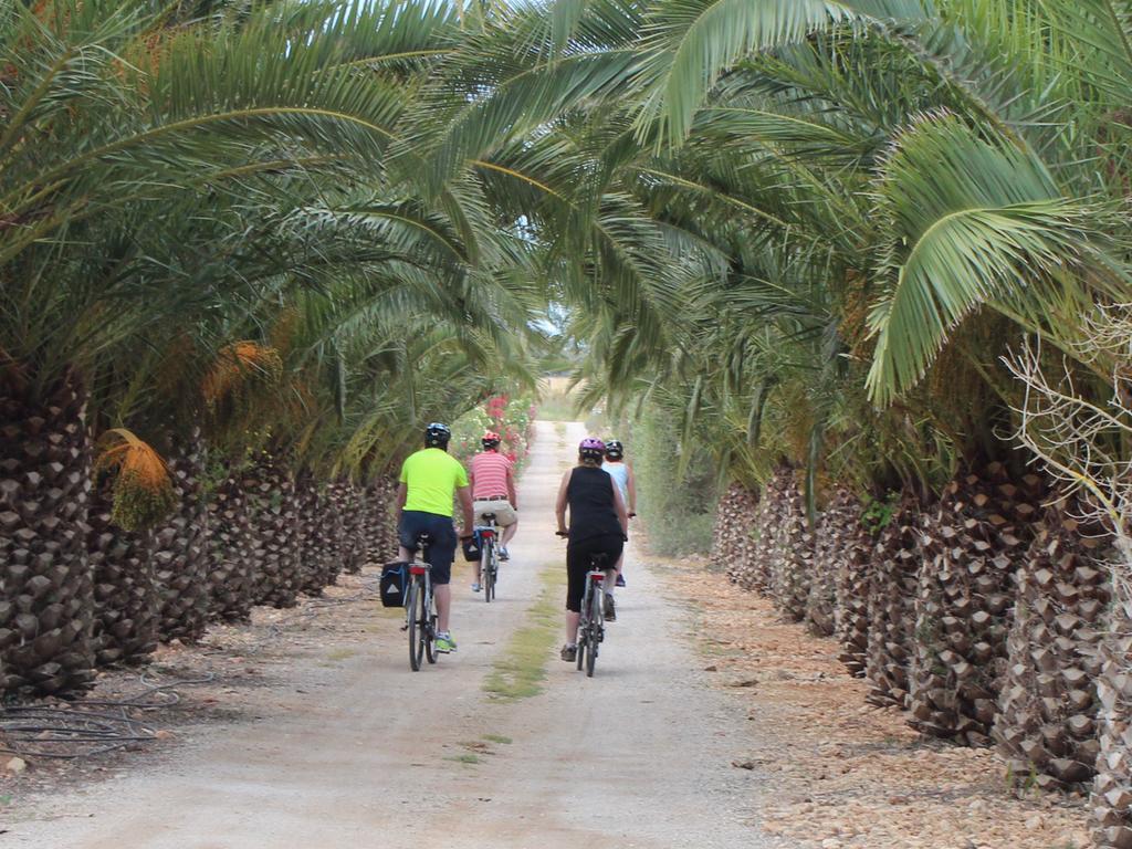 Finca Es Torrent Campos  Eksteriør billede